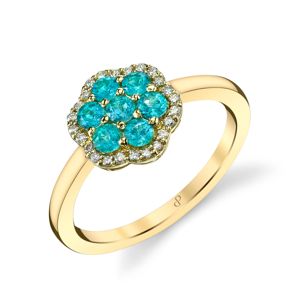 Two Kind Hearts - 18K Yellow Gold Natural Paraiba Tourmaline Ring